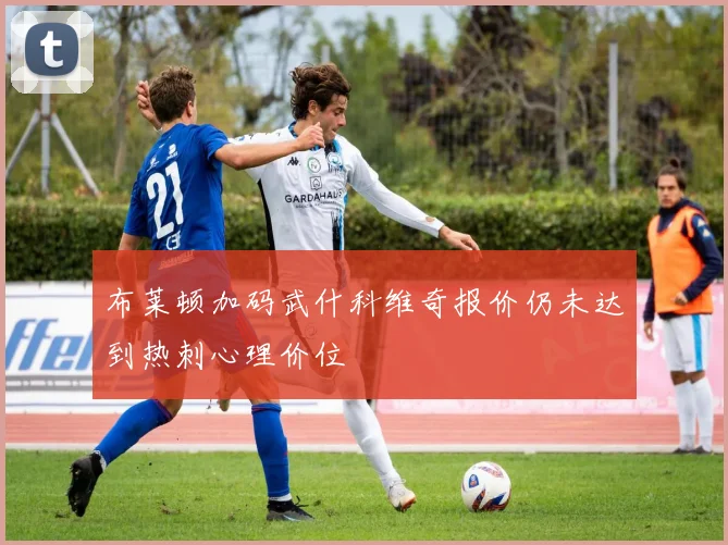 布莱顿加码武什科维奇报价仍未达到热刺心理价位